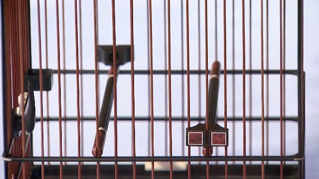 颜虎金徒弟作品 紫光檀鸟笼