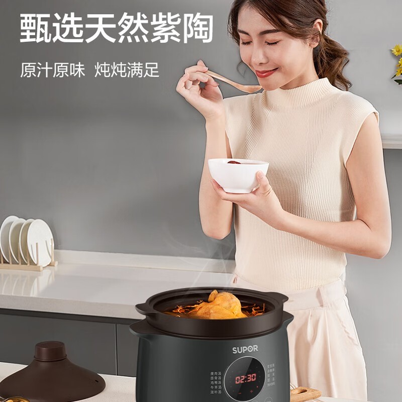 苏泊尔（SUPOR） 电炖锅 4L多功能电炖锅  优质紫陶内胆 DG40YC36