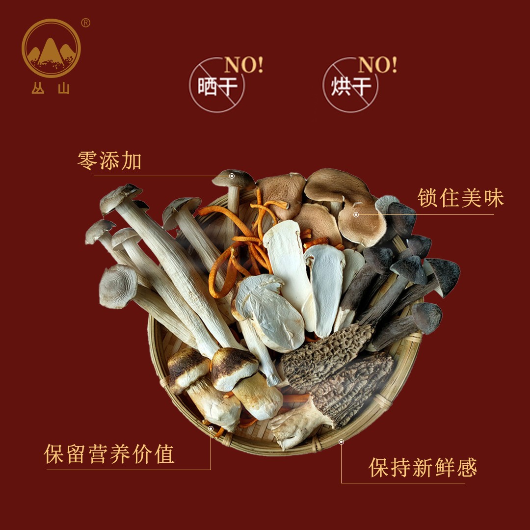 丛山菌料礼盒
