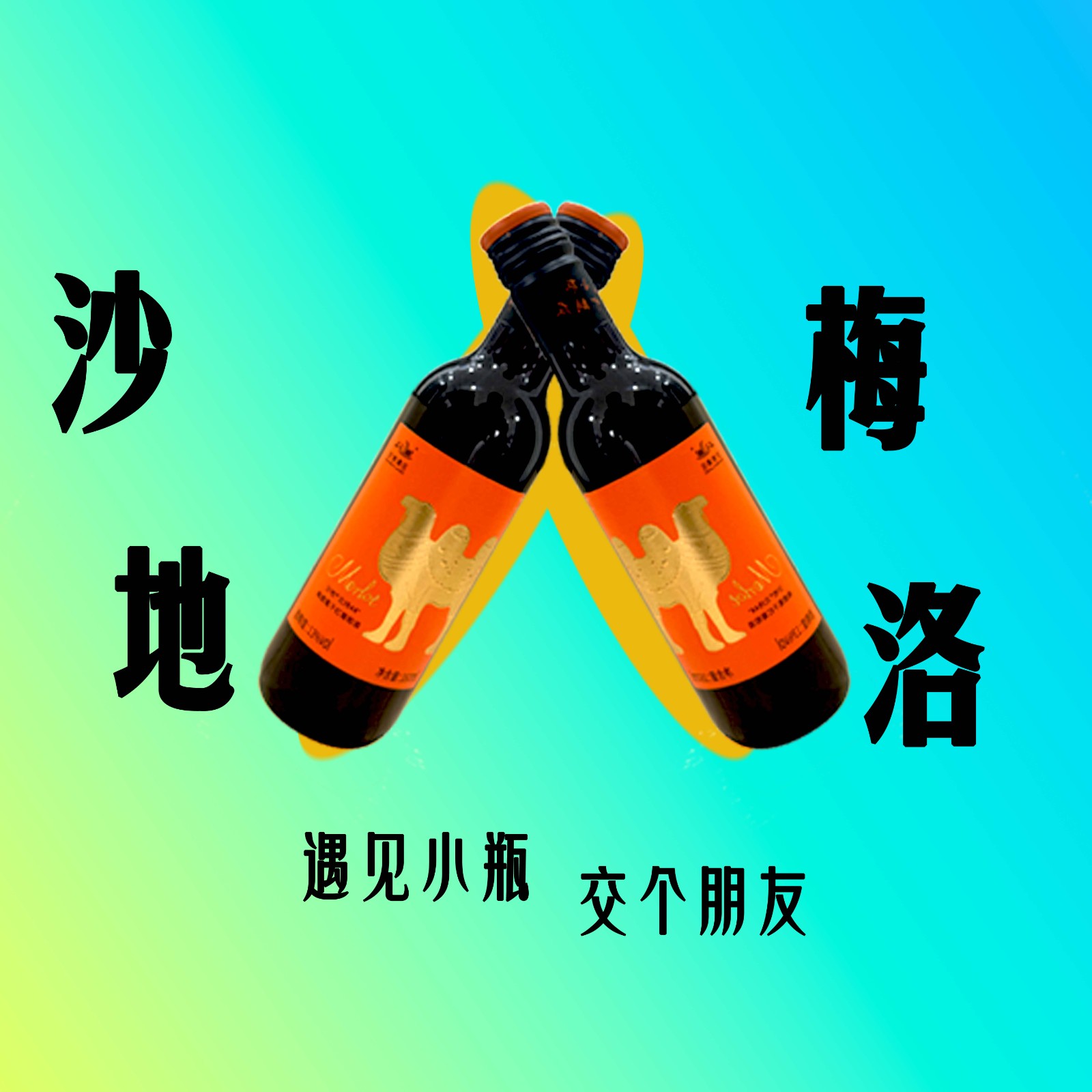 沙地梅洛辄干红葡萄酒13%vol一箱12瓶
