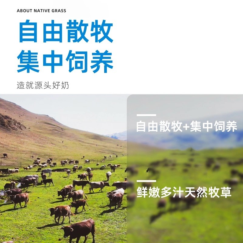 伊牧欣 褐牛纯牛奶