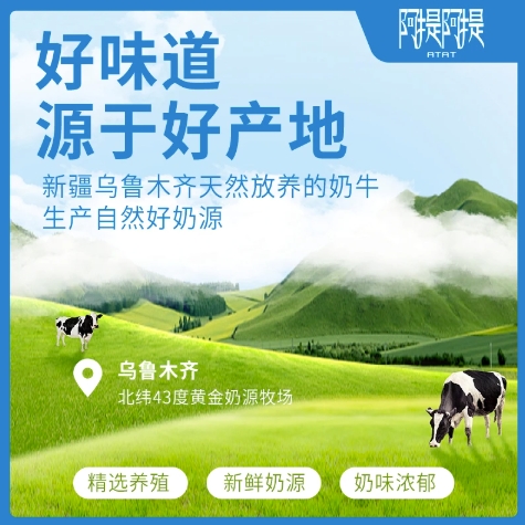 阿提阿提新疆烤奶皮