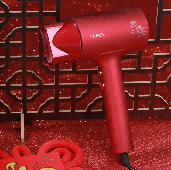 雷瓦（RIWA) 电吹风