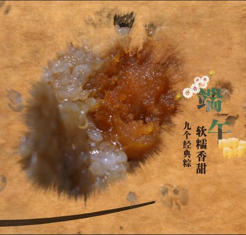 端午礼盒