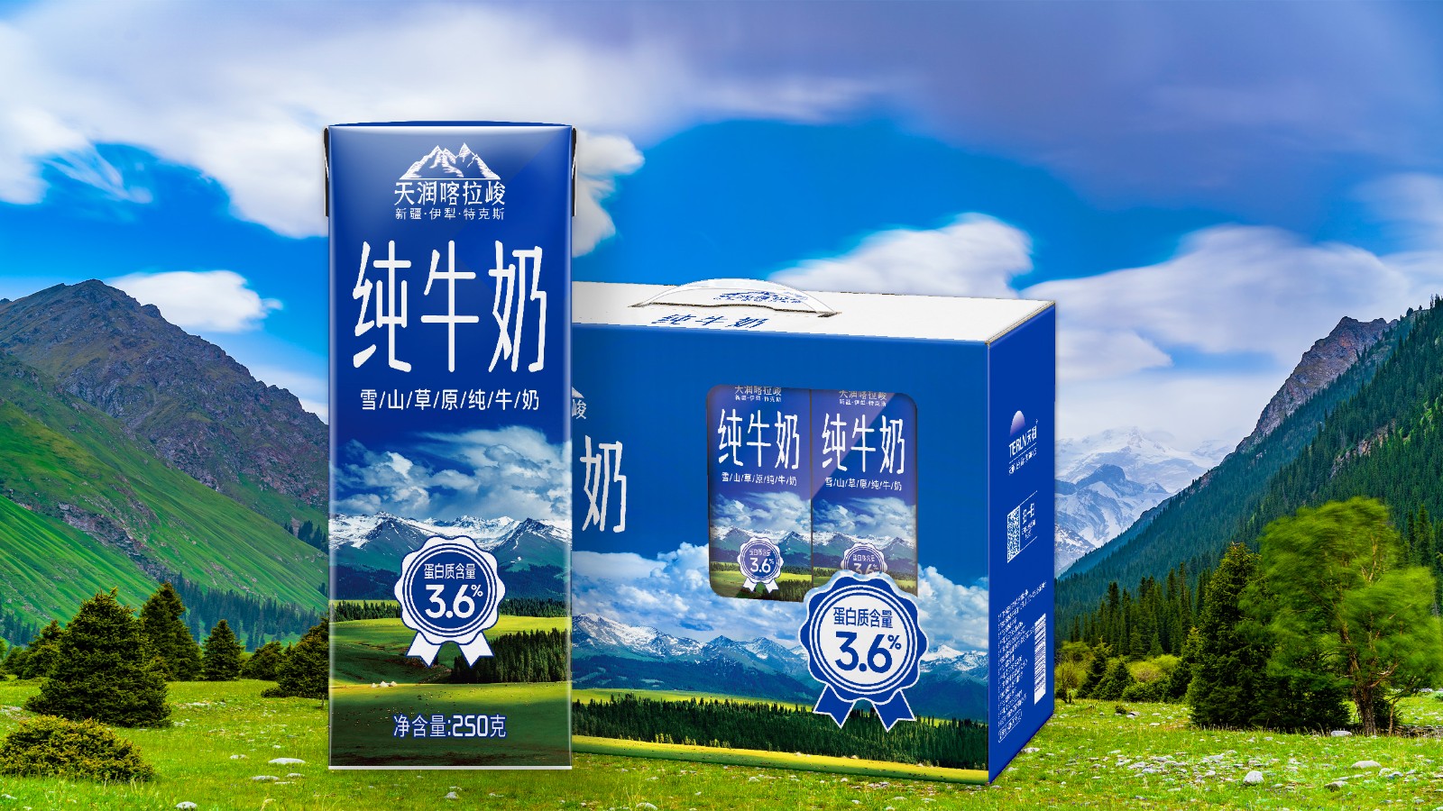 天润喀拉峻纯牛奶(康美砖250g*12)
