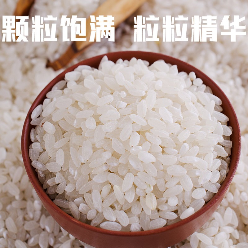消夏渔歌（稻鸭米）