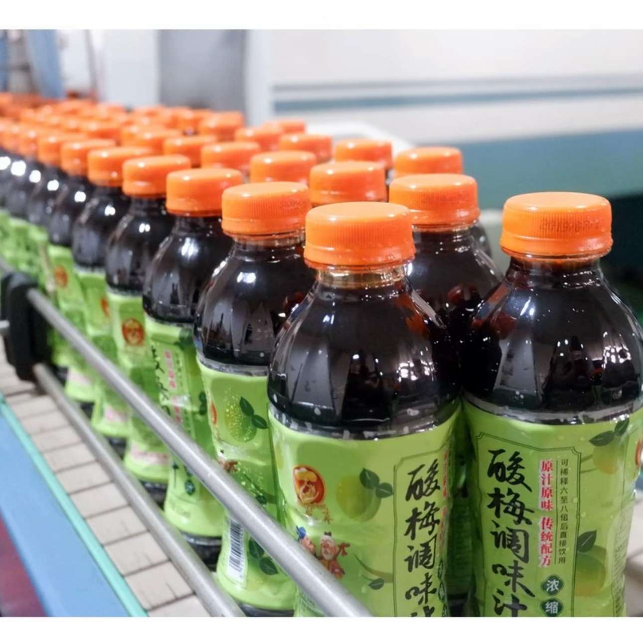【江南甄选专属】苏州采芝斋酸梅汤酸梅汁调味浓缩汁夏日饮品饮料